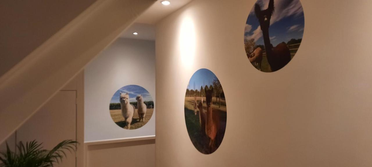 B&B De Raamberg Zundert Exteriör bild