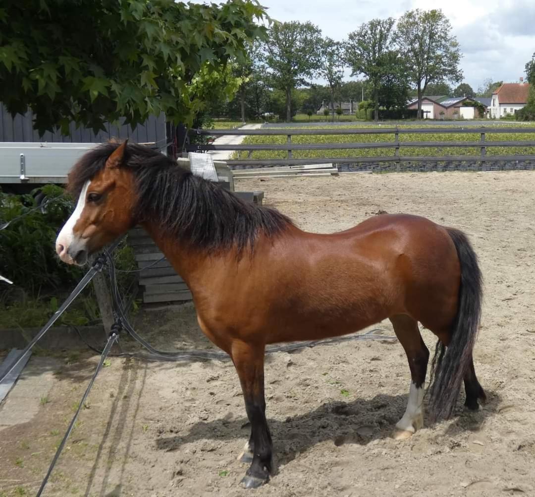 B&B De Raamberg Zundert Exteriör bild