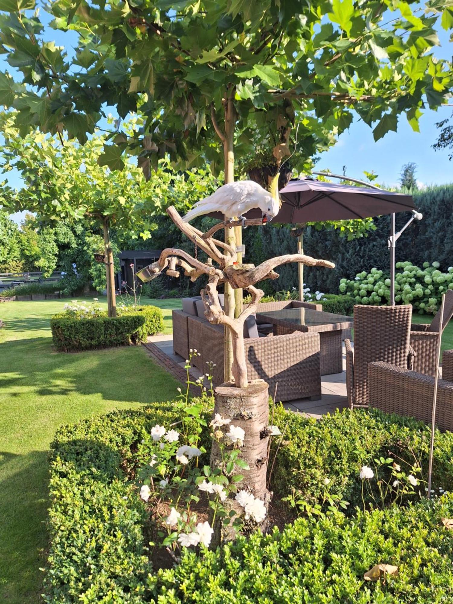 B&B De Raamberg Zundert Exteriör bild